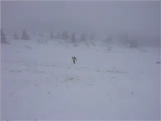 small_041229 coPICT0290.webp